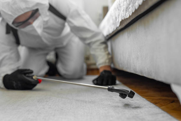 Professional Ant Control technician working in One Loudoun, VA
